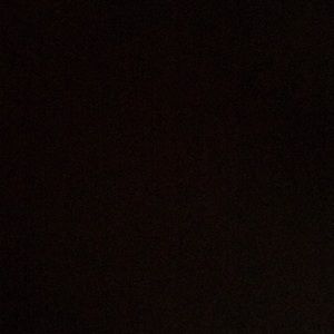 Meet your Posher, Ella